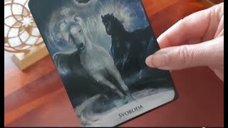 🌜NOVOLUNÍ VE ♏ŠTÍRU- zpět do své síly- výklad karet, výklad tarotu