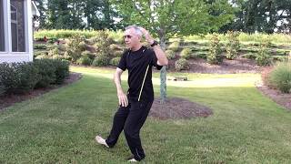 Tai Chi  Yang Form 24   Lesson 2 Brush Knee to Play the Lute