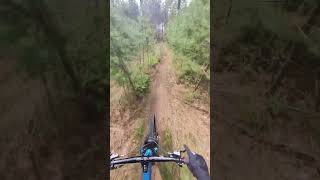 enduro trail #transitionbikes #sentinelv2 #bike #enduro #mtb #insta360go3 #natural #trail