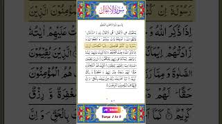 Quran Surah Anfal Ayat 1 to 5 #anfal #quran #onlinequran #quranrecitation  #urdu #islamicstatus