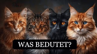 Spirituelle Bedeutung jeder Katzenfarbe: