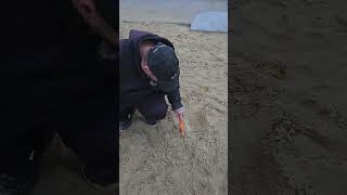 November 15, 2024 Metal detecting