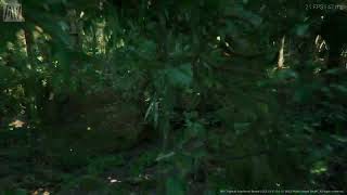 Unreal Engine 5.2 - Tropical Rainforest Demo test cut