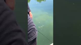 Loses big bass