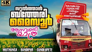 Sultan Bathery to Mysore Bus Trip | Muthanga - Bandipur Tiger Reserve |  സുൽത്താൻ ബത്തേരി മൈസൂർ ബസ്