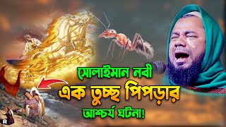 হযরত সুলাইমান আঃ ও এক তুচ্ছ পিঁপড়ার ঘটনা। শরিফুজ্জামান রাজিবপুরী Sharifuzzaman Rajibpuri Waz 2024