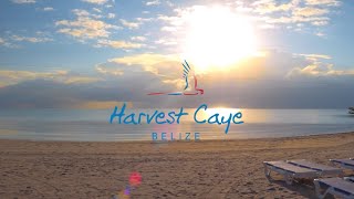 ハーベスト ケイ　harvest caye