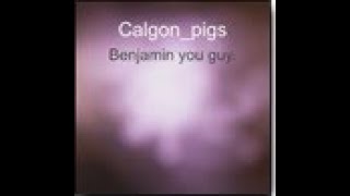 Benjamin you guy. - Calgon_Pigs