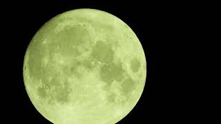 Yellow Moon captured in 4k #shorts