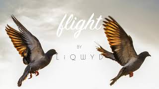 LiQWYD - Flight [Official]