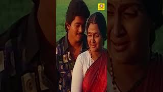 Amman Koyil Ellamae | #ThalapathyVijay | Ajith | Ilayaraja #RajavinParvaiyile #ytshorts #shorts