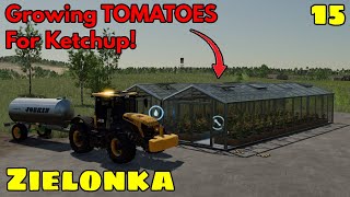 Were going to make KETCHUP! - Zielonka Ep 15 - Farming Simulator 22 Premium Expansion