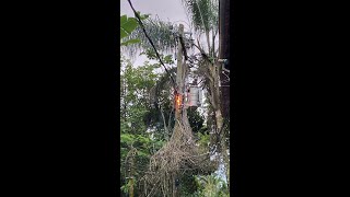 Explosões e esgoto ao mar: moradores de Ilha Grande denunciam colapso no abastecimento de energia