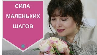 Как сварить лягушку или Сила маленьких шагов - [Светлана Нагородная]