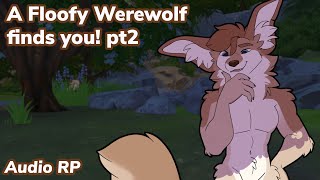 [Furry ASMR] A Floofy Werewolf Finds You! pt2 | Soft Spoken, Nighttime Ambience, Fur Brushing