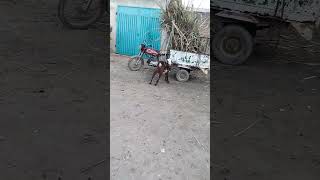 Goat kid playing with a village kid #kidsvideo #shorts