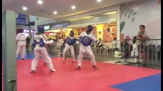 My taekwondo sparring (marque mall)