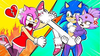 When Amy Hits Jealousy - Love Story Between Sonic And Amy - SONIC CARTOON