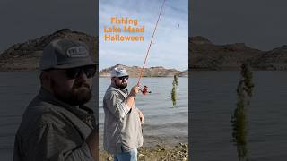 Fishing at Lake Mead on Halloween #monkeysspinningmonkeys #bassfishing #lakemead #lakemeadupdate