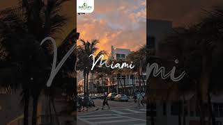 🌴🌞 Viva a Energia de Miami! 🌞🌴