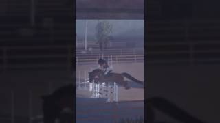 Wow he really over jumped this 😂 #horse #equestriansport #edit