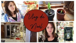 READING VLOG DE NOEL : ces gens qui n'aiment pas Noël