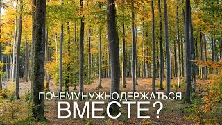 Почему нужно держаться вместе?