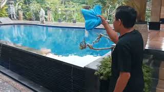 Renang di HOTEL BALI