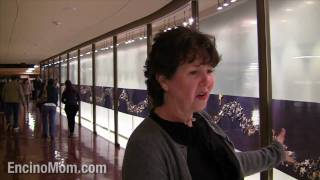 Visit Griffith Observatory With EncinoMom's Lisa Keating