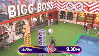 Wild Card Task Details 🔥 New Contestants Bigg Boss 8 Telugu Live Updates | WildCard Entry #biggboss