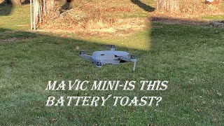 Mavic Mini-Battery Test After "Battery Cell Voltage Warning".