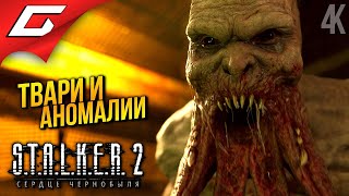 УЧЁНЫЕ и ЗОМБИ ➤ STALKER 2: Heart of Chornobyl ◉ Прохождение 3