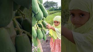 Cute baby cutting papaya and enjoyed #jhim #funny #jhimi