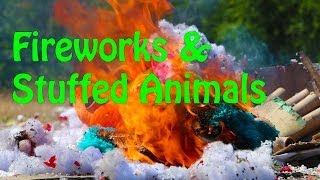 Fireworks & Stuffed Animals (DON'T TRY THIS AT HOME)