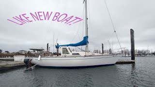 Returning to the SWEET life of CRUISING  || Sailing Swirl S2E1