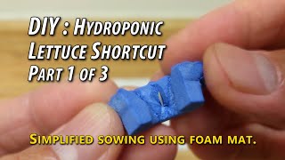 DIY: Hydroponic Lettuce Shortcut —Part 1 / 3: Simplified Sowing Using Foam Mat Grow Medium. Easiest?