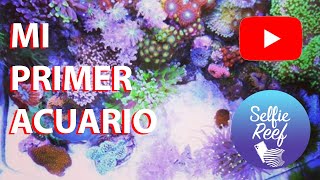 Mi Primer Acuario Marino