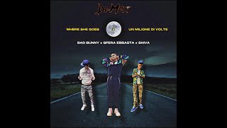 DeMax - Where she goes Mashup (Bad Bunny x Sfera Ebbasta x Shiva)