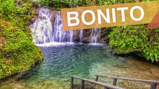 Bonito - Mato Grosso do Sul :: 4 passeios imperdíveis em Bonito e região :: 3em3