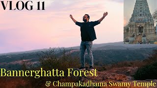 Trekking to Bannerghatta Forest ll  ChampakaDhama swami Temple ll Vlog 11 ll Explore Bangalore