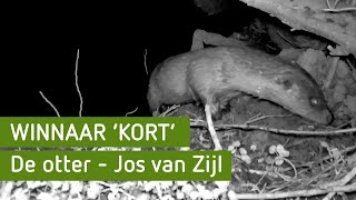 WINNAAR KORT: De otter - Jos van Zijl