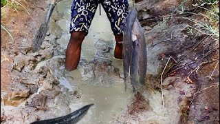 Net Fishing at pailin Province - Khmer Cast Net Fishing -Cambodia Traditional Fishing ( Part 75)