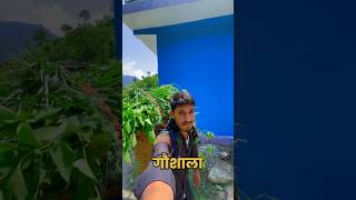 #minivlog 03 #गौशाला  #ytshorts #travel #pahadiculture #viralvlogs #uttarkhandvlog #pahadilifestyle