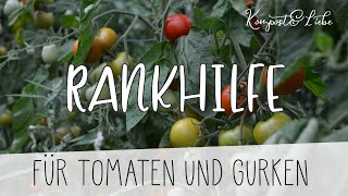 🍅 Die beste Rankhilfe für eure Tomaten und Gurken 🥒 Kompost&Liebe