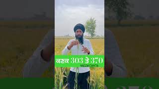 ਕਣਕ 303 ਤੇ 370 #shortvideo #viral #youtubeshorts #nyarapunjab