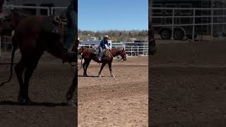 Race blinds for the winnnnnn #sheridanlostroh #lilfreckilbe #goattying #rodeo #equine #blowup