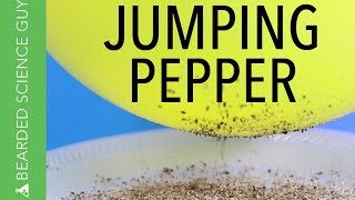 Jumping Pepper Science Experiment (Physics)