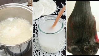 பைசா செலவில்லாமல் தலையில் இதை தேய்த்தாலே போதும் முடி வளரவும் |boiled rice water for hair