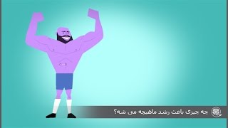 چه چیزی باعث رشد ماهیچه‌ها می‌شه؟