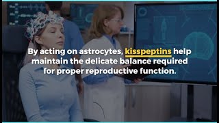 Molecular Pathway Discovered in Reproductive System Regulation Involving Kisspeptins & Astrocytes